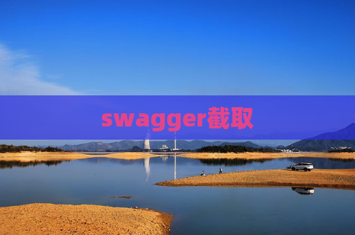 swagger截取